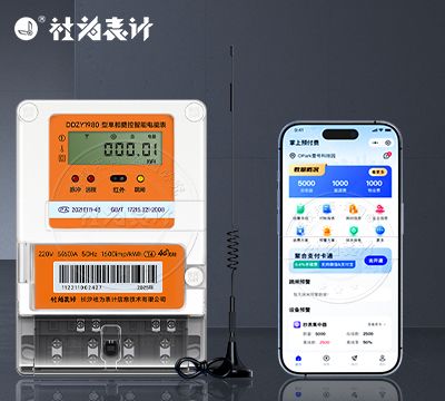 社为DDZY1980单相4G智能电表